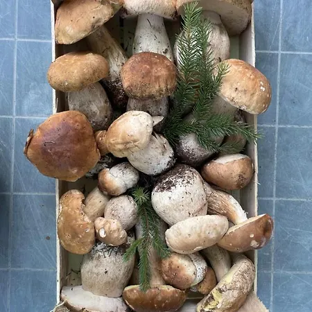 Appartamento La Casa In Sasso *