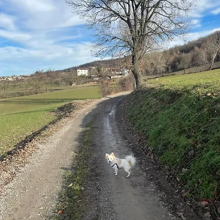 Appartamento La Casa In Sasso