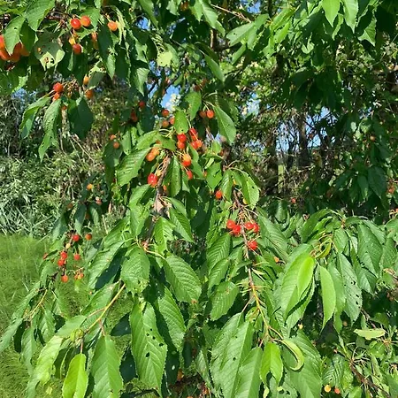 Appartamento La Casa In Sasso *