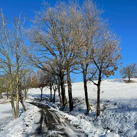 La Casa In Sasso Appartamento Rivergaro