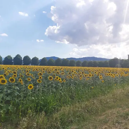 Appartamento La Casa In Sasso *